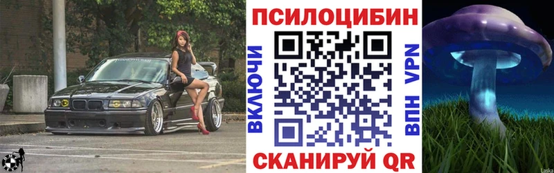 MEGA tor  где можно купить   Бор  Псилоцибиновые грибы Magic Shrooms 