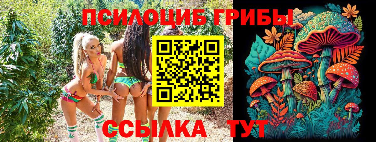 Бор  наркота  Вход с VPN  Псилоцибиновые грибы Psilocybine cubensis 